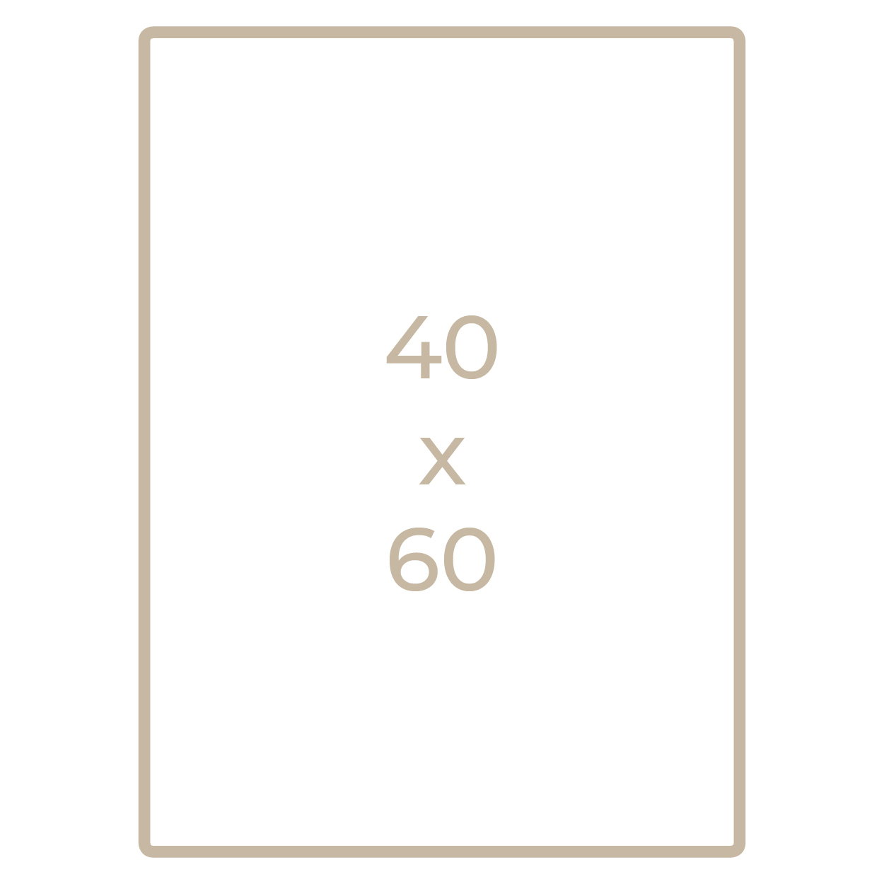 40x60