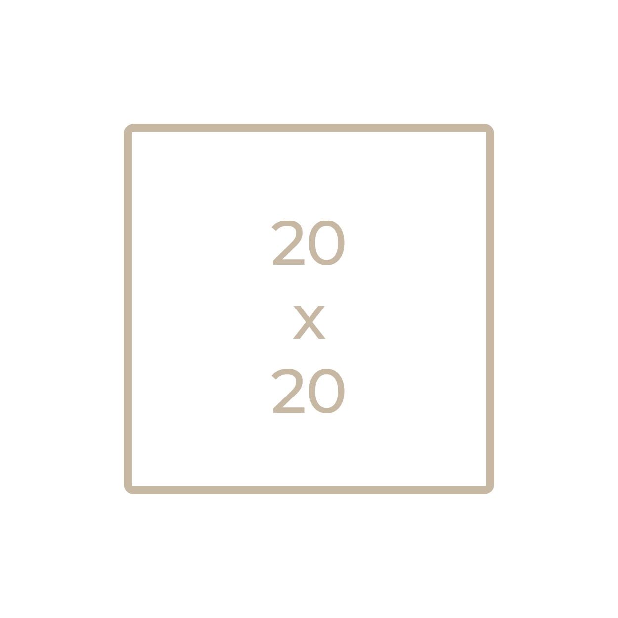 20x20