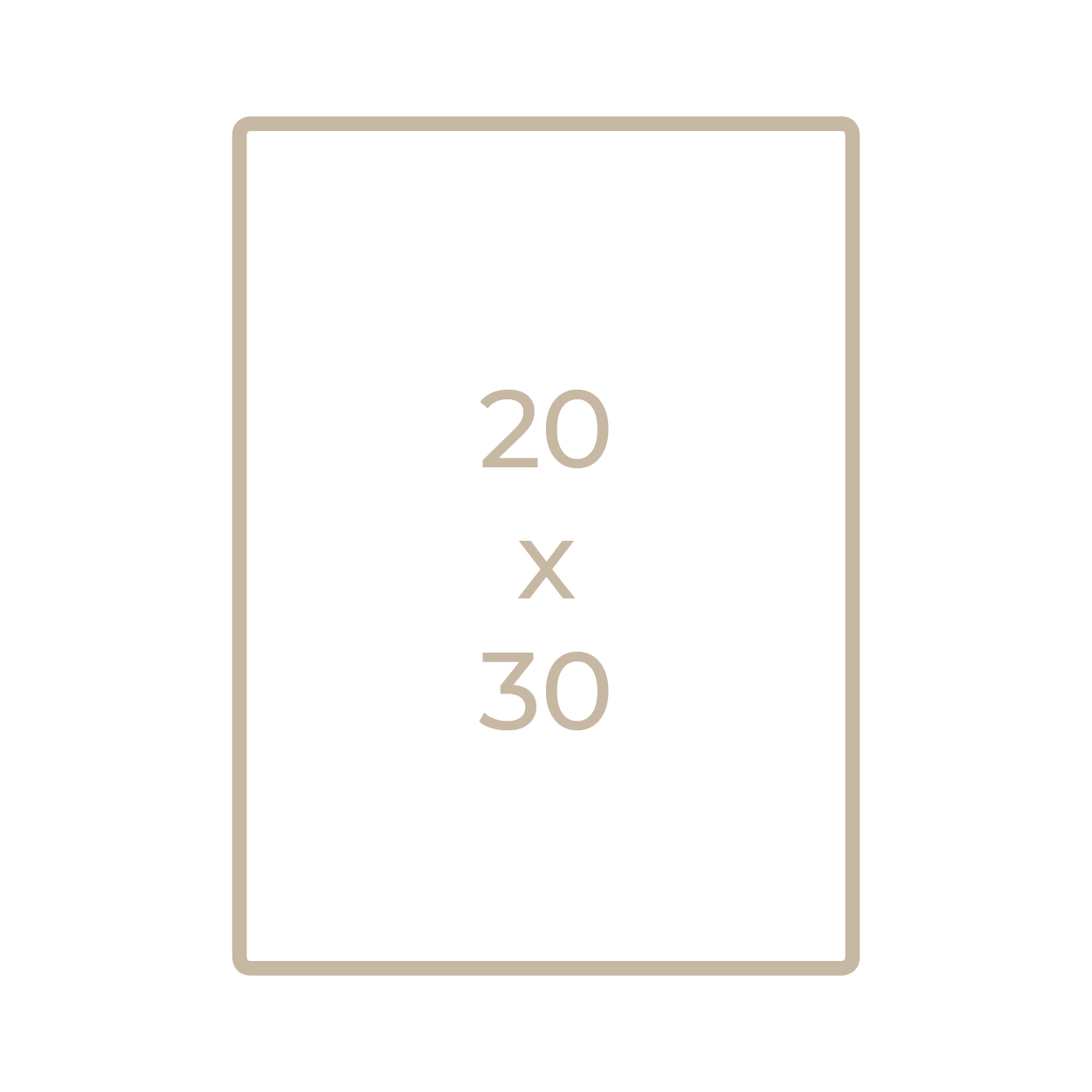 20x30